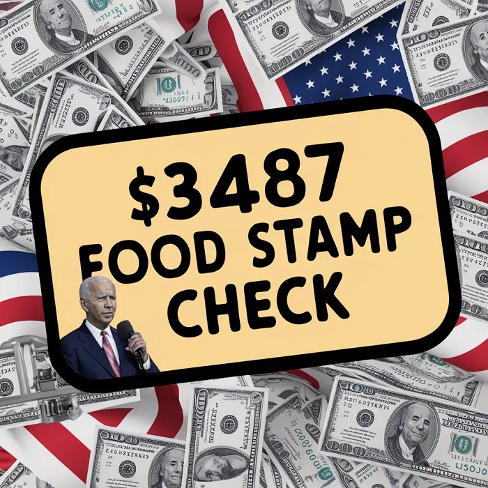 $3487 Food stamp check application form 2024- know eligibility & payment date